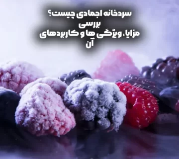 سردخانه انجمادی چیست مزایا و کاربردهای جذاب آن