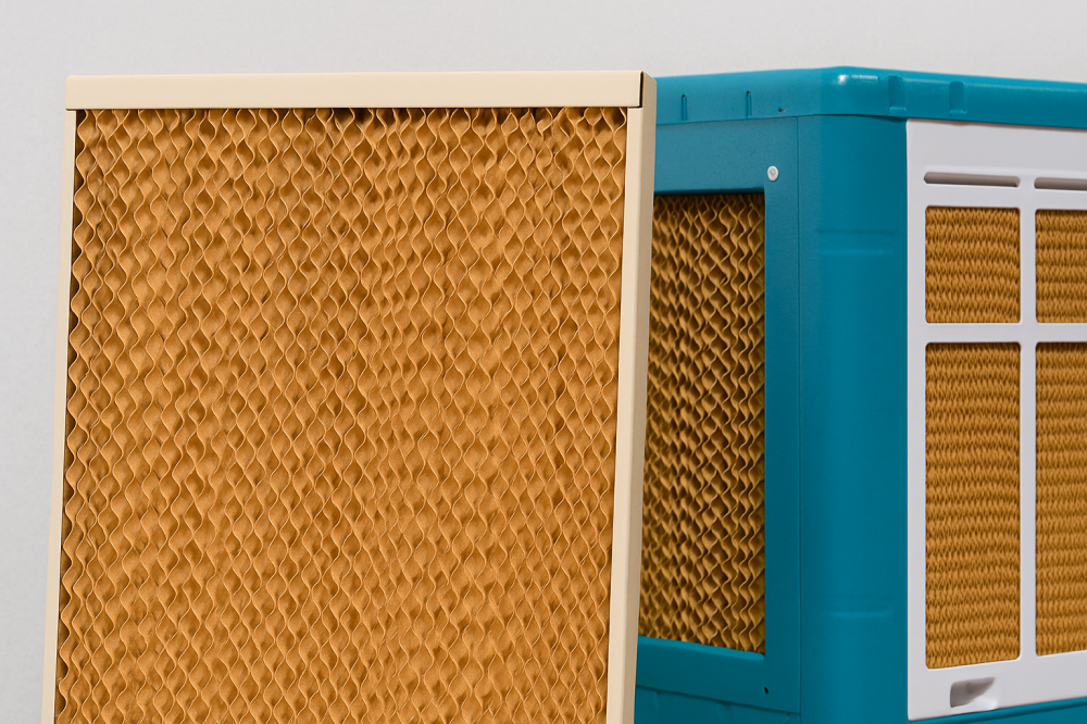 ChatGPT Image Aug 18, 2025, 06_15_55 AM