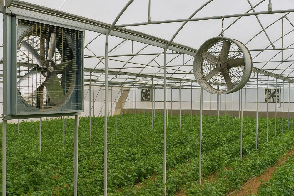 چگونه تهویه گلخانه و حرکت هوا را تنظیم کنیم؟ راهنمای کامل