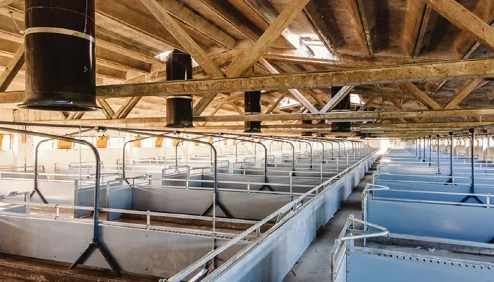 اهمیت تهویه مطبوع در دامپروری و دامداری هواساز