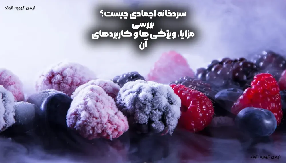 سردخانه انجمادی چیست مزایا و کاربردهای جذاب آن